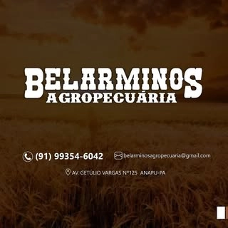 Logotipo da empresa BELARMINOS AGROPECUARIA