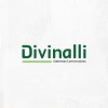 Logotipo da empresa DIVINALLI