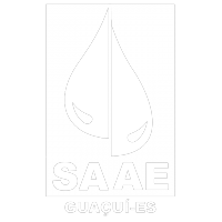 Logotipo da empresa SAAE