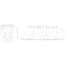 Logotipo da empresa STUDIO