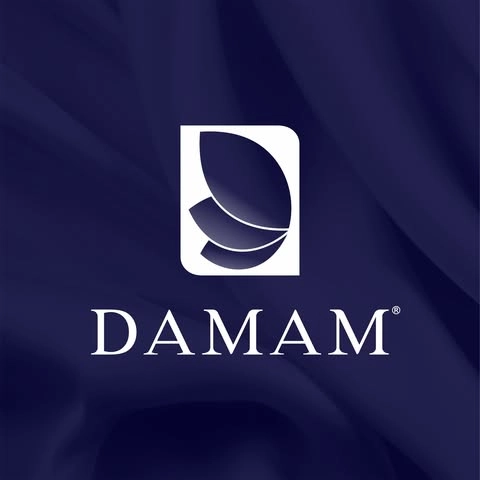 Logotipo da empresa DAMAM LINGERIE