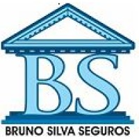 Logotipo da empresa BRUNO DE SOUZA SILVA
