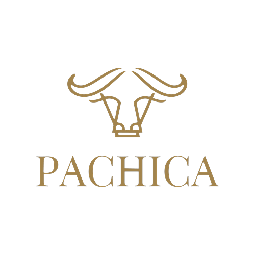 Logotipo da empresa ARMAZEM PACHICA