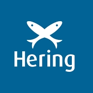 Logotipo da empresa HERING