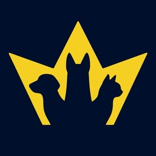 Logotipo da empresa IMPERIO DOS PETS
