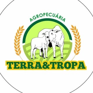 Logotipo da empresa AGROPECUARIA TERRA E TROPA