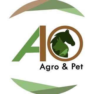 Logotipo da empresa A10 AGRO E PET