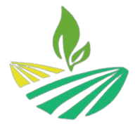 Logotipo da empresa J M COMERCIO DE BATATAS