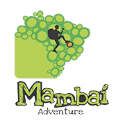 Logotipo da empresa PINOS MONALIZA