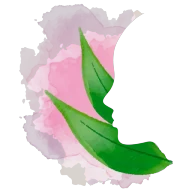 Logotipo da empresa DEIA MOMBACH TERAPIAS INTEGRATIVAS