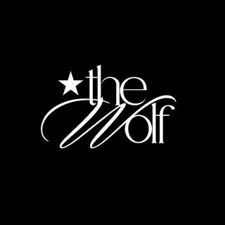Logotipo da empresa THE WOLF STORE