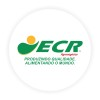 Logotipo da empresa ECR PARTICIPACOES