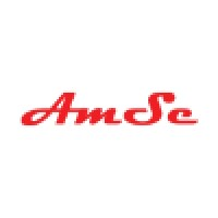 Logotipo da empresa AMBIENTE SEGURO