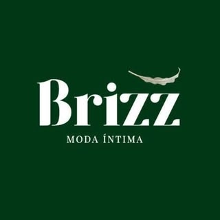 Logotipo da empresa BRIZZ MODA INTIMA