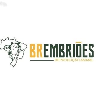 Logotipo da empresa BR EMBRIOES