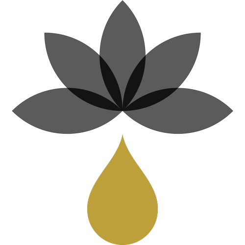 Logotipo da empresa SNF - COMERCIAL