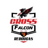 Logotipo da empresa CROSS FALCON