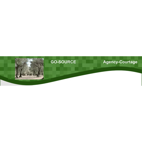 Logotipo da empresa VS REPRESENTACOES E COMERCIO LTDA