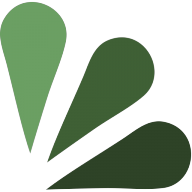 Logotipo da empresa DEDETIZADORA BRASIL MS