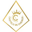 Logotipo da empresa MARCOS VINICIUS SARAIVA DUARTE