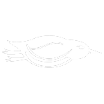 Logotipo da empresa ANGRAMED SERVICOS MEDICOS E ENFERMAGEM LTDA