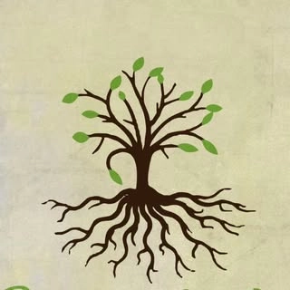 Logotipo da empresa DIAS VERDES HOLISTICO