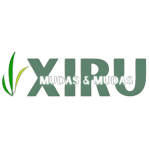 Logotipo da empresa XIRU MUDAS