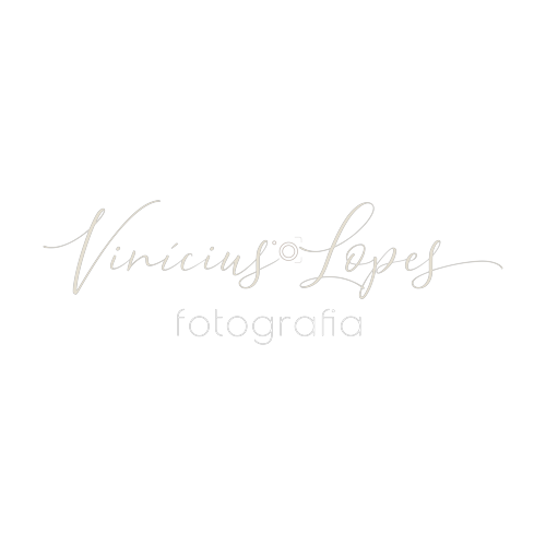 Logotipo da empresa VINICIUS LOPES FOTOGRAFIA