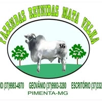 Logotipo da empresa MATA VELHA AGRONEGOCIO LTDA