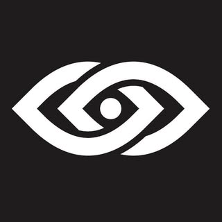 Logotipo da empresa PONTO DE VISTA DRONES