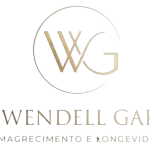 Logotipo da empresa WENDELL FELIPE GARCIA LTDA.