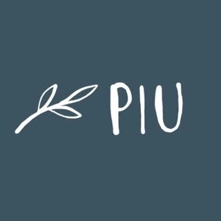 Logotipo da empresa PIU