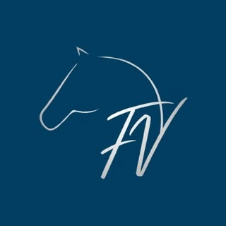 Logotipo da empresa EQUIPE FV