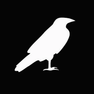 Logotipo da empresa ROMULO AUGUSTO VIEIRA GOIS