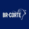 Logotipo da empresa BR CORTE 4.0