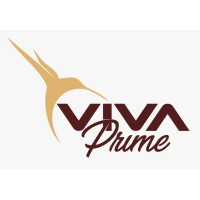Logotipo da empresa VIVA PRIME