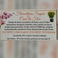 Logotipo da empresa FLORICULTURA SCAPINI
