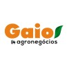 Logotipo da empresa GAIO