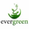 Logotipo da empresa EVERGREEN