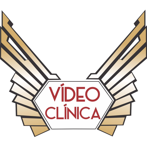 Logotipo da empresa VIDEO-CLINICA E TELE-INFORMATICA LTDA