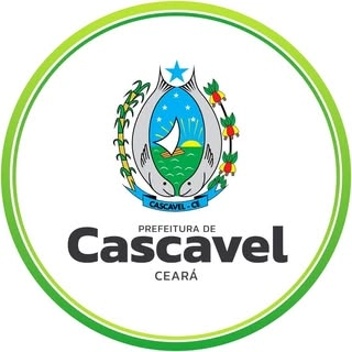 Logotipo da empresa FMDI