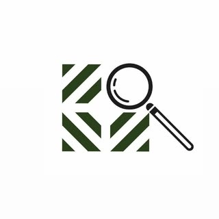 Logotipo da empresa DIEDRUM SOLUCOES