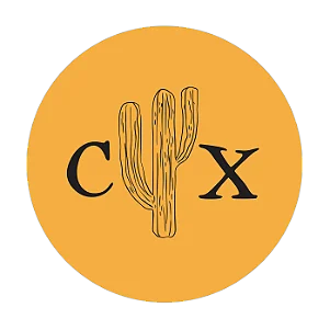 Logotipo da empresa COISAXIQUE
