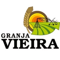 Logotipo da empresa R. G. VIEIRA