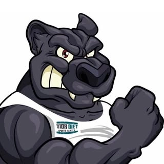 Logotipo da empresa VIDA DIET