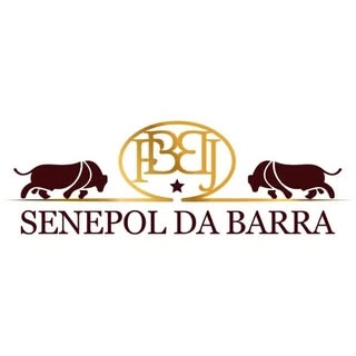 Logotipo da empresa SENEPOL DA BARRA LTDA.