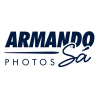 Logotipo da empresa CLAUDIO EDUARDO SANTOS ARAUJO