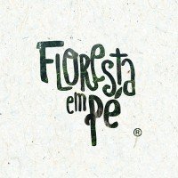 Logotipo da empresa STANDING AMAZONIA FOREST