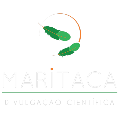 Logotipo da empresa MARITACA