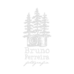 Logotipo da empresa BRUNO LEANDRO FERREIRA DA SILVA